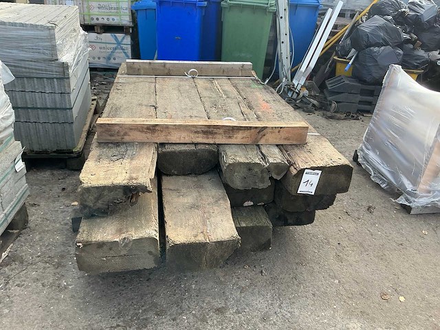 Treinbilzen (12x) - afbeelding 2 van  5