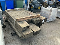 Treinbilzen (12x) - afbeelding 3 van  5