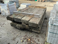 Treinbilzen (12x) - afbeelding 4 van  5