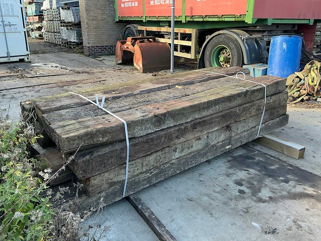 Treinbilzen (16x) - afbeelding 2 van  3