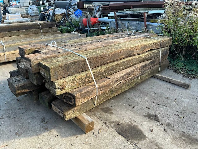 Treinbilzen (16x) - afbeelding 3 van  3