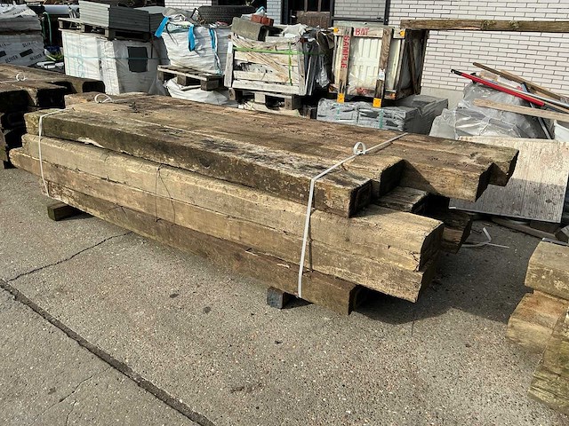 Treinbilzen (16x) - afbeelding 1 van  4