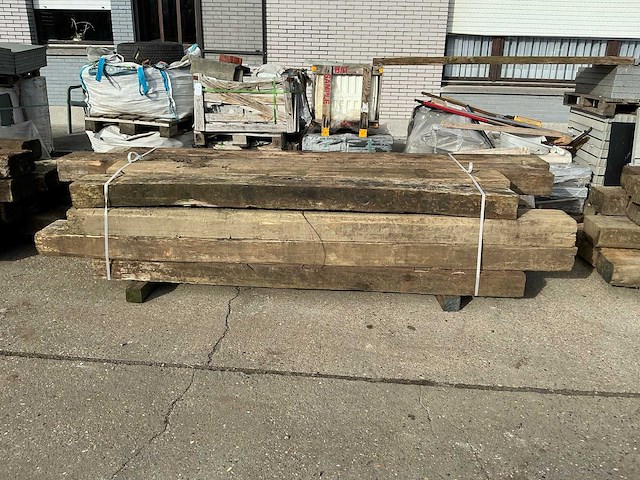 Treinbilzen (16x) - afbeelding 2 van  4