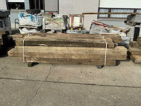 Treinbilzen (16x) - afbeelding 2 van  4