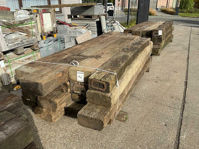 Treinbilzen (16x) - afbeelding 4 van  4