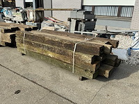 Treinbilzen (16x) - afbeelding 1 van  4