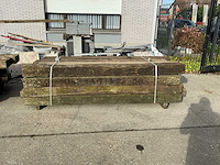 Treinbilzen (16x) - afbeelding 2 van  4