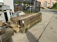 Treinbilzen (16x) - afbeelding 3 van  4