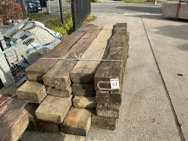 Treinbilzen (16x) - afbeelding 4 van  4