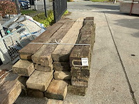 Treinbilzen (16x) - afbeelding 4 van  4