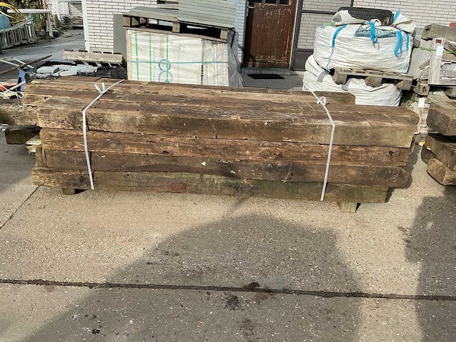 Treinbilzen (16x) - afbeelding 2 van  4