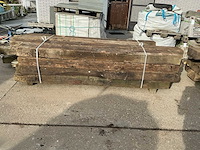 Treinbilzen (16x) - afbeelding 2 van  4