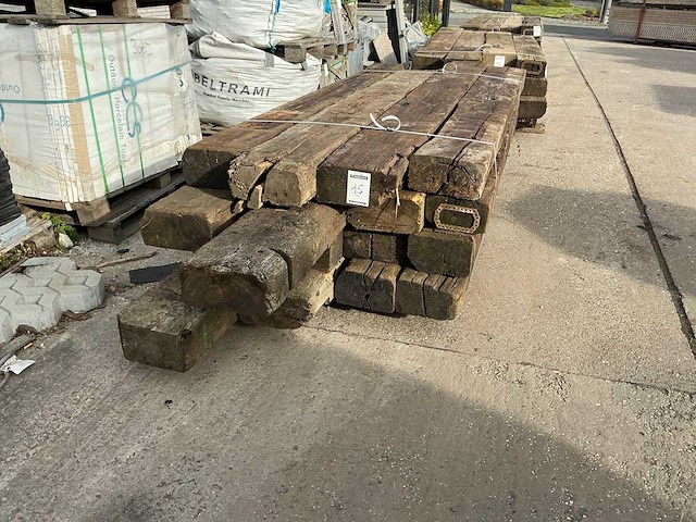 Treinbilzen (16x) - afbeelding 3 van  4