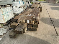 Treinbilzen (16x) - afbeelding 4 van  4