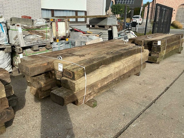 Treinbilzen (16x) - afbeelding 3 van  4