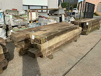 Treinbilzen (16x) - afbeelding 3 van  4