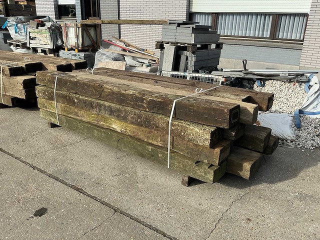 Treinbilzen (16x) - afbeelding 1 van  4