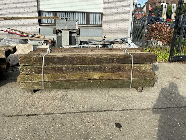 Treinbilzen (16x) - afbeelding 2 van  4