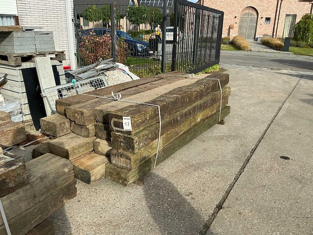 Treinbilzen (16x) - afbeelding 3 van  4