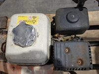 Trilplaat op benzine belle - afbeelding 3 van  4