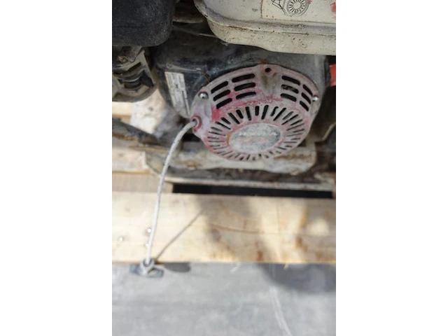 Trilplaat op benzine belle - afbeelding 4 van  4