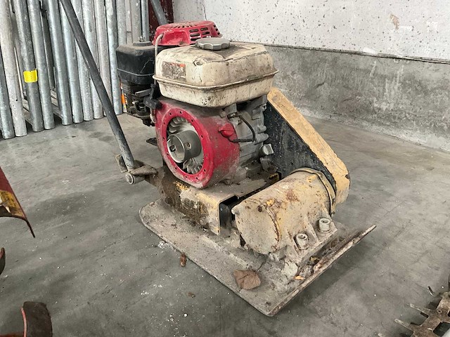 Trilplaat - afbeelding 1 van  4