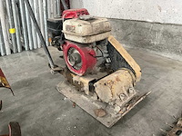 Trilplaat - afbeelding 1 van  4