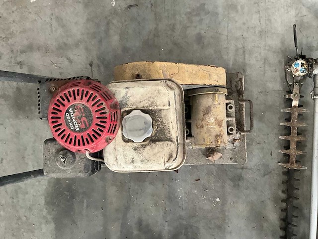 Trilplaat - afbeelding 3 van  4