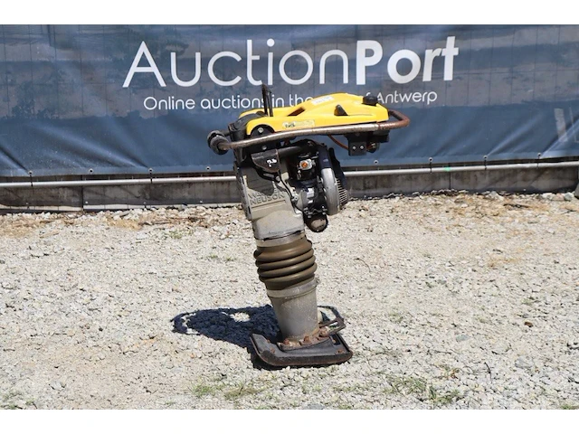 Trilstamper wacker neuson bs 60-2 benzine - afbeelding 1 van  1