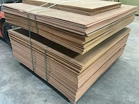 Triplex multiplex meranti (140x) - afbeelding 2 van  2