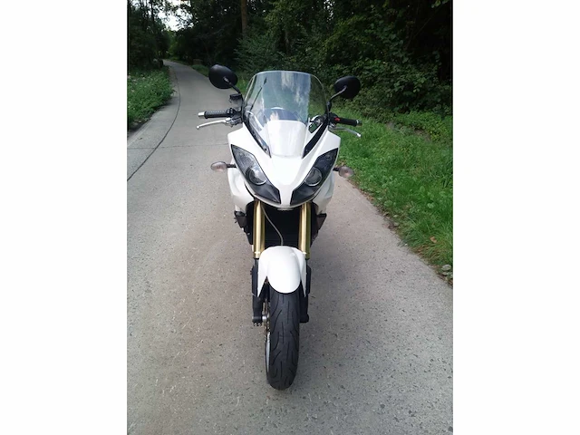 Triumph - tiger - motorfiets - afbeelding 2 van  9