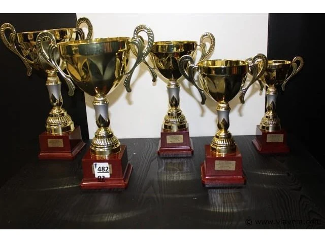 Trofee - afbeelding 1 van  1