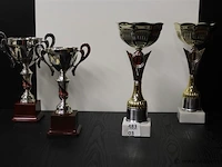Trofee - afbeelding 1 van  1