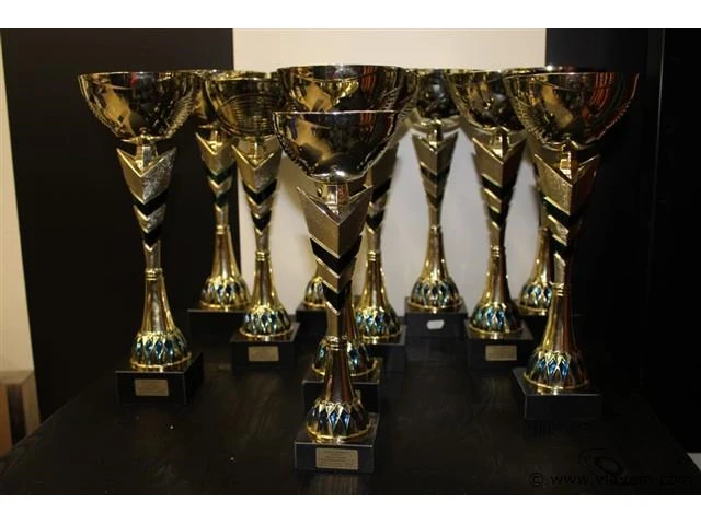 Trofee - afbeelding 1 van  2