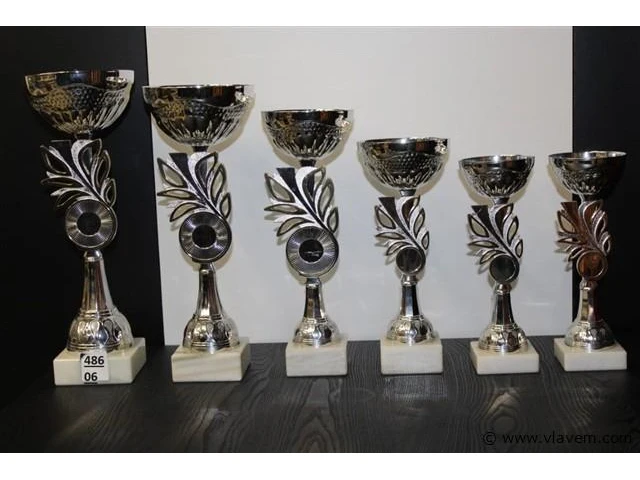 Trofee - afbeelding 1 van  1