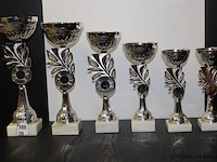 Trofee - afbeelding 1 van  1