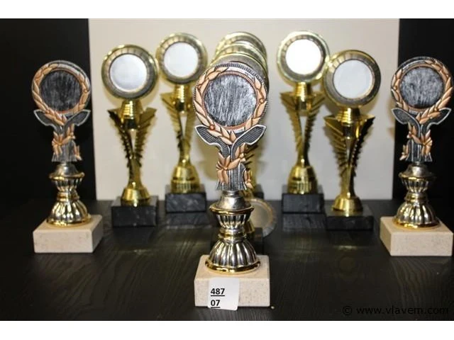 Trofee - afbeelding 1 van  1