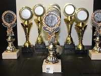 Trofee - afbeelding 1 van  1