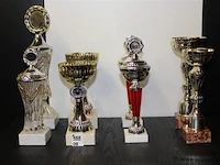 Trofee - afbeelding 1 van  1
