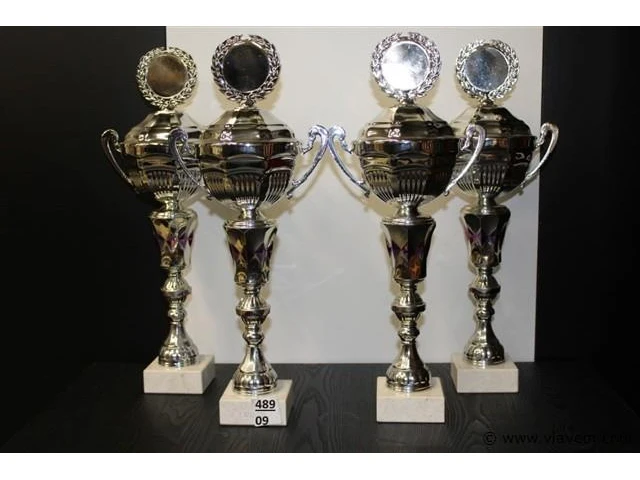 Trofee - afbeelding 1 van  1