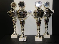 Trofee - afbeelding 1 van  1