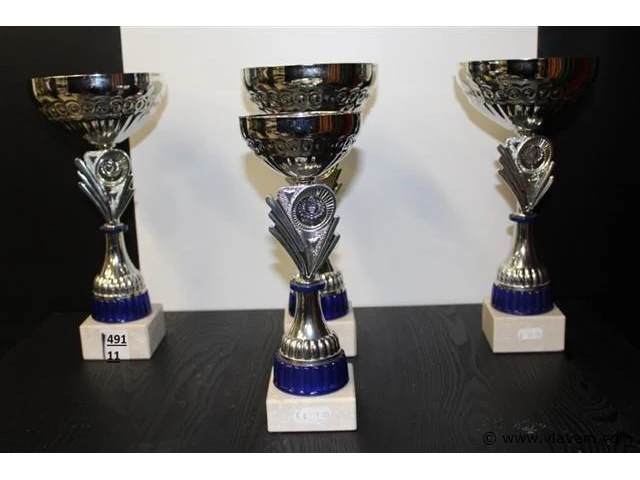Trofee - afbeelding 1 van  1