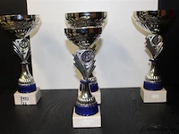 Trofee - afbeelding 1 van  1