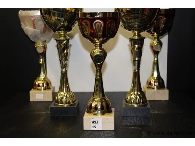 Trofee - afbeelding 1 van  2