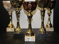 Trofee - afbeelding 1 van  2