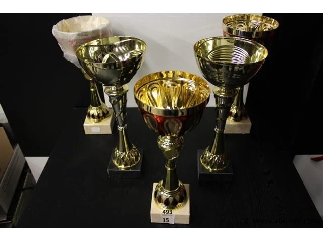 Trofee - afbeelding 2 van  2