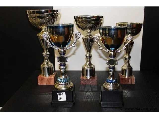 Trofee - afbeelding 1 van  1