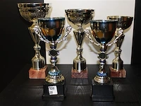 Trofee - afbeelding 1 van  1