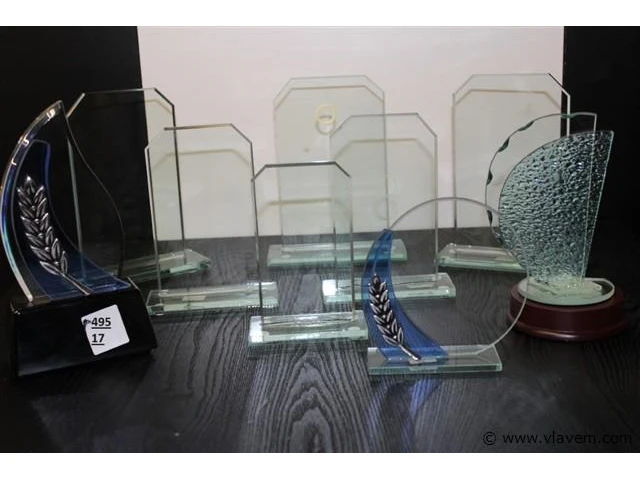 Trofee - afbeelding 1 van  1