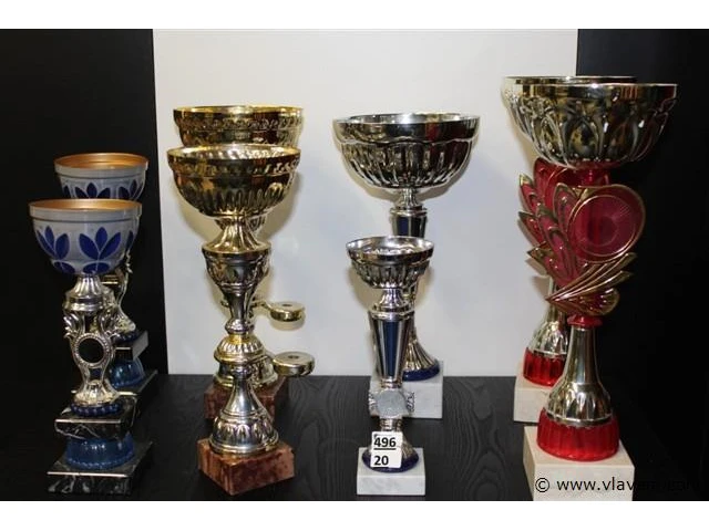 Trofee - afbeelding 1 van  2